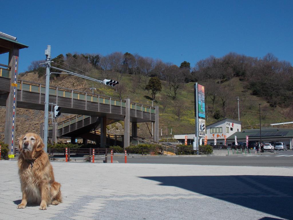 Hojo Suigun Youth Hostel Мацуяма Екстериор снимка